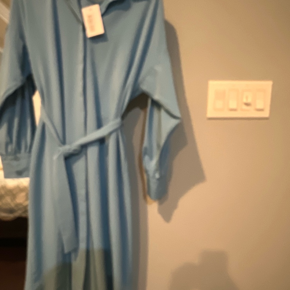 Elegant Blue Belted Dress